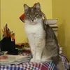 Отзыв от Василиса Филимонова
